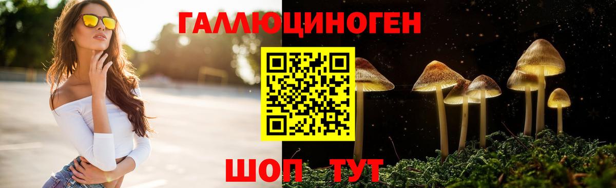 Полысаево  Галлюциногенные грибы Psilocybine cubensis  Вход с VPN 